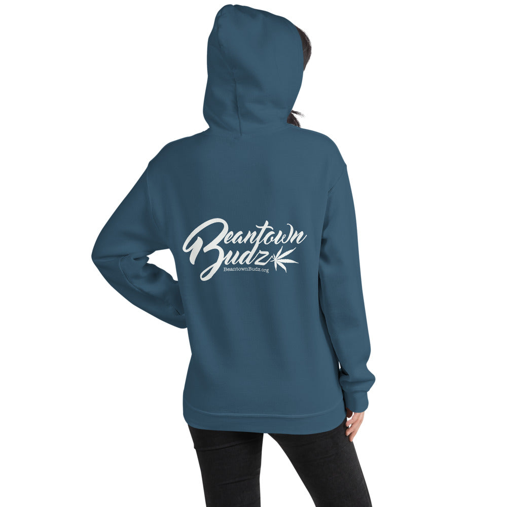 Santa Got Some Midz For You Hoodie