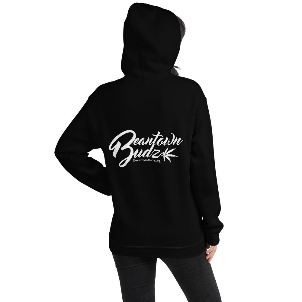 Santa Got Some Midz For You Hoodie