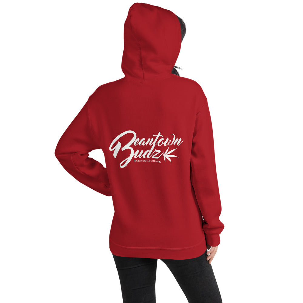 Santa Got Some Midz For You Hoodie